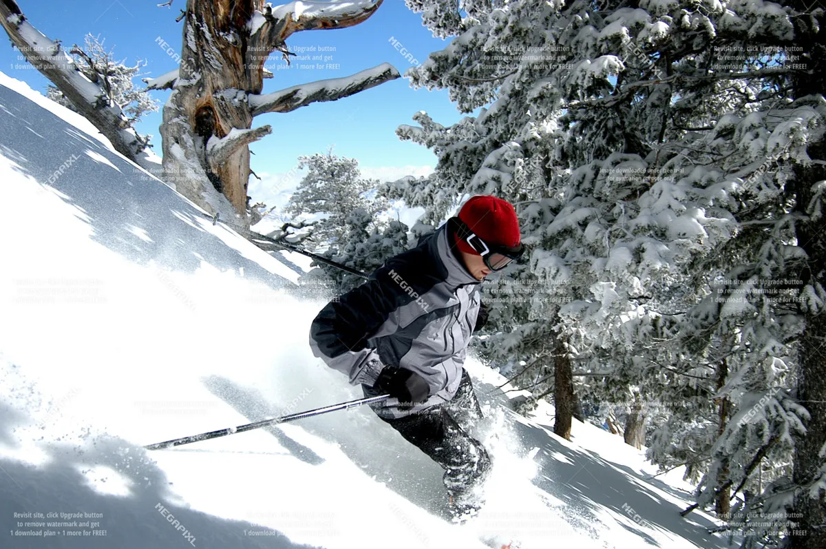 An action shot of a skier making their way down a pristine, snowy slope surrounded by trees. The mood is adventurous and dynamic, emphasizing the excitement of alpine activities.