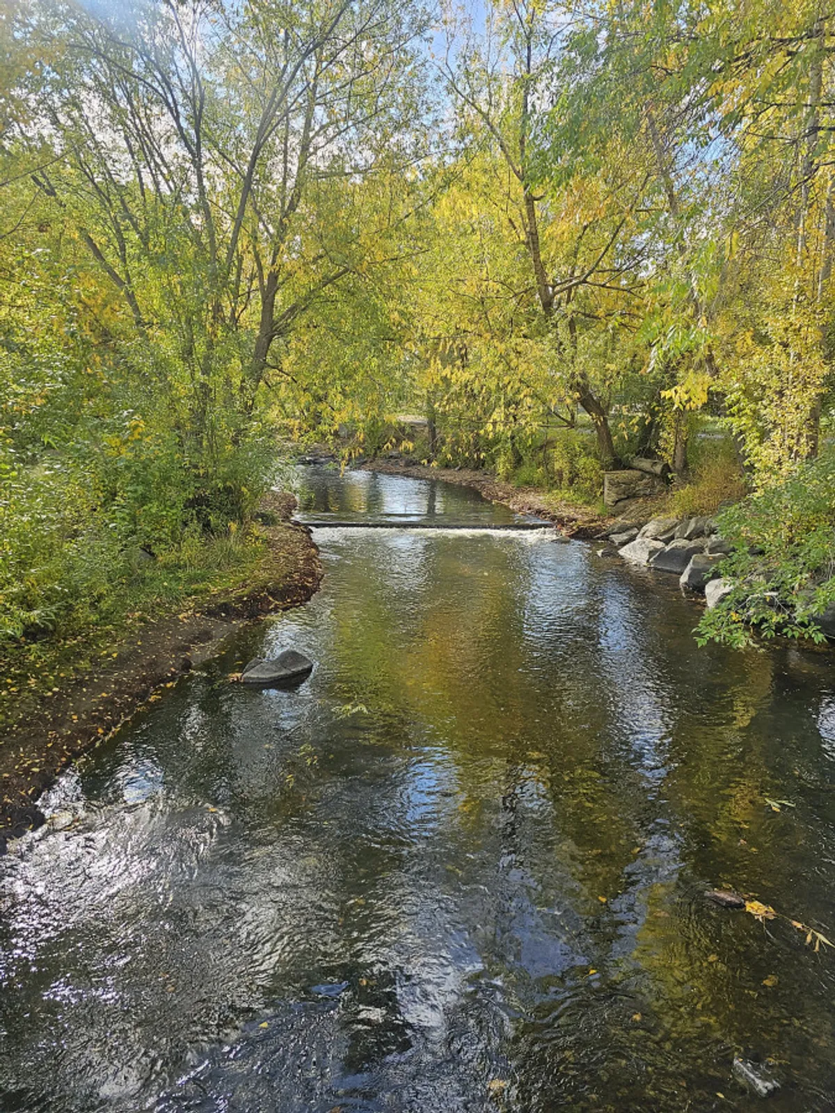 A peaceful riverside scene with a flowing river, smooth stones, and vibrant yellow autumn foliage. The calm setting evokes the serenity of the area’s natural beauty and opportunities for reflection, fishing, or picnicking by the water.