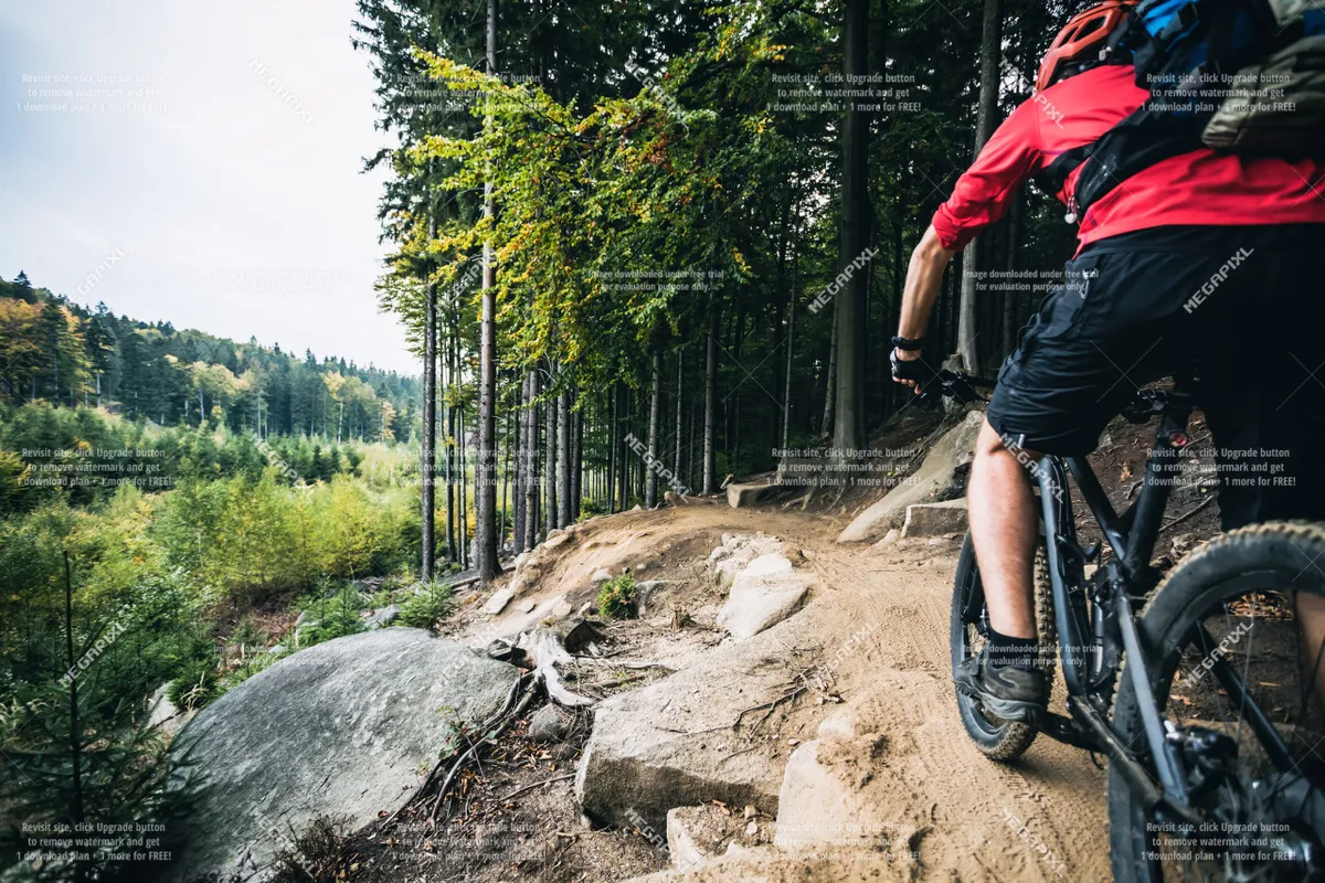 A mountain biker navigates a rocky, forested path, with sunlight filtering through the trees. The atmosphere is energetic and embodies the spirit of regional outdoor exploration.